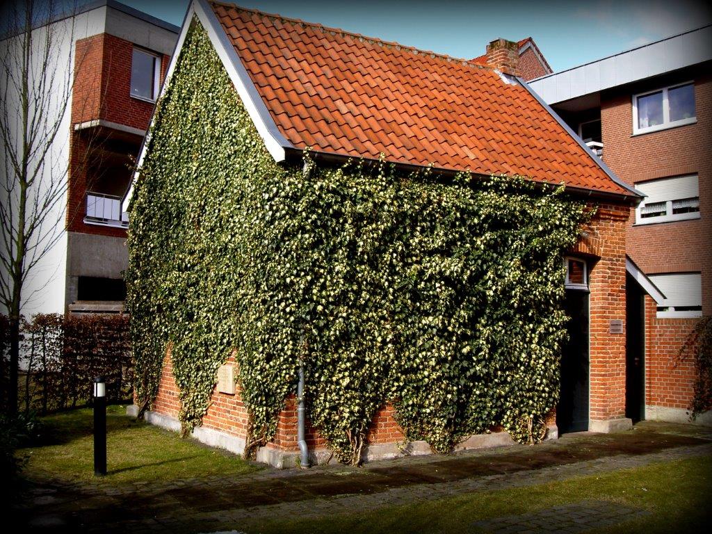 Jüdische Schule Lingen